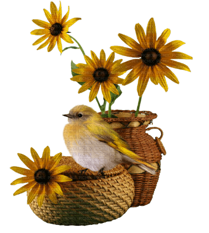 Canastos ,pájaro y flores - besplatni png
