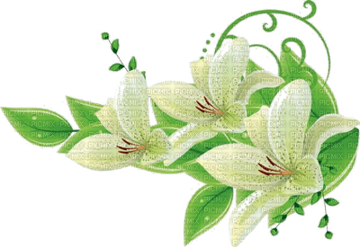 patymirabelle fleurs - Free PNG