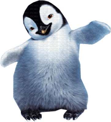 penguin - Free PNG