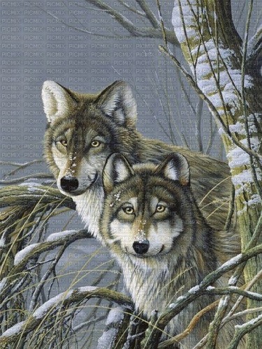 wolf background - png gratuito