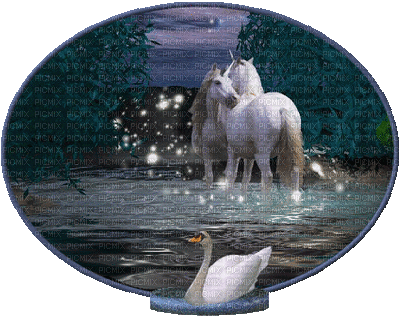 swan--NitsaPapacon - 無料のアニメーション GIF