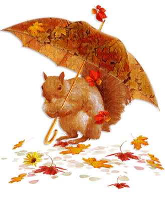 Kaz_Creations Animals Animal Autumn - δωρεάν png