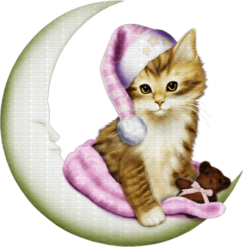 dolceluna spring cat vintage deco moon night - 免费PNG