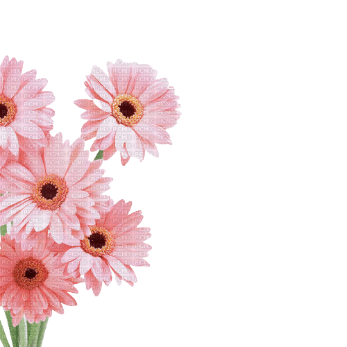 Vanessa Valo _crea=pink flowers - zadarmo png