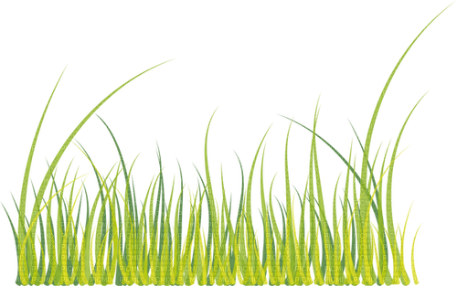 grass Bb2 - ilmainen png