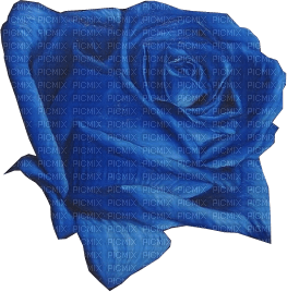 rosa azul-l - безплатен png