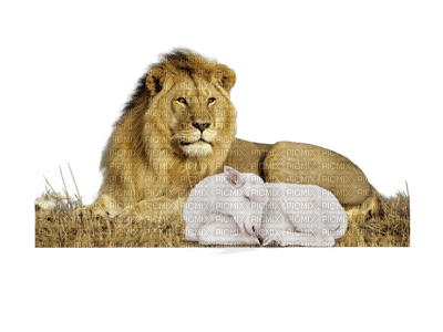 The Lion and the Lamb bp - Free PNG