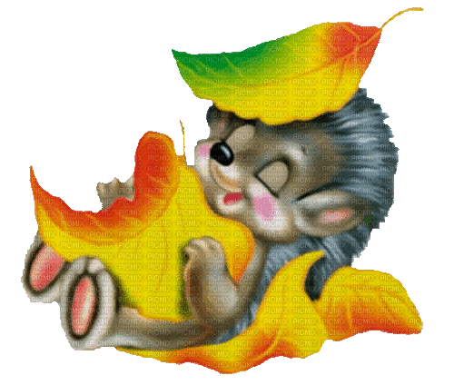 Autumn Fall Hedgehog - 無料のアニメーション GIF