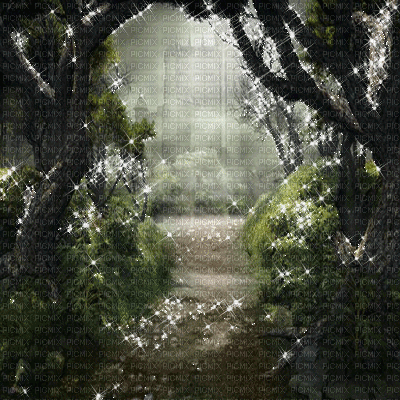 kikkapink forest gothic background - Free animated GIF