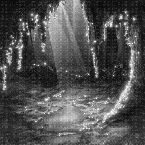 Y.A.M._Fantasy forest background black-white - Free animated GIF
