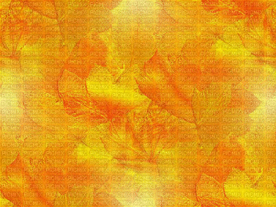 bg-sfondo-autuno-höst-orange - Free animated GIF