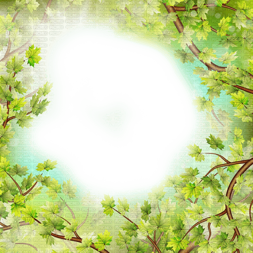 green background transparent - PNG gratuit
