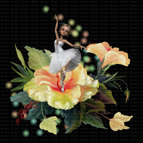 MMarcia gif flores bailarina  fundo fond - GIF เคลื่อนไหวฟรี