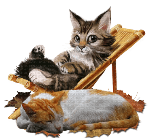 Katze Cat - PNG gratuit