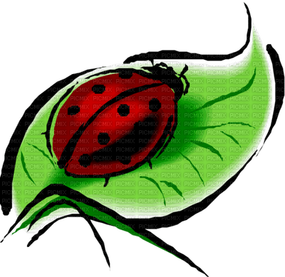 Kaz_Creations Ladybugs Ladybug - besplatni png