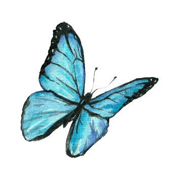 ✶ Butterfly {by Merishy} ✶ - png gratuito