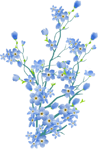 blue flowers 2 - безплатен png