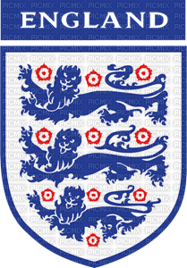 3 lions on the shirt - png gratis