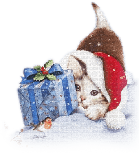 soave animals cat christmas winter gift - 免费PNG