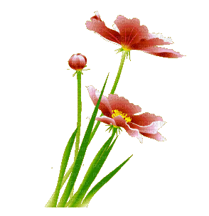 Fleurs.Flowers.Garden.gif.Victoriabea - Бесплатный анимированный гифка