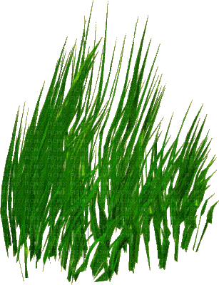 Tube Plante Verte - GIF animado gratis