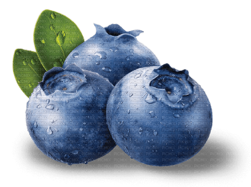 blueberries Bb2 - ücretsiz png