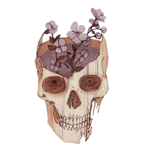 skull with flowers - darmowe png