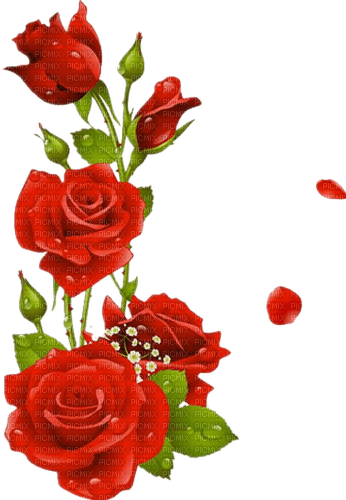 Rosen, Rot, Blumen, Roses, Flowers - darmowe png