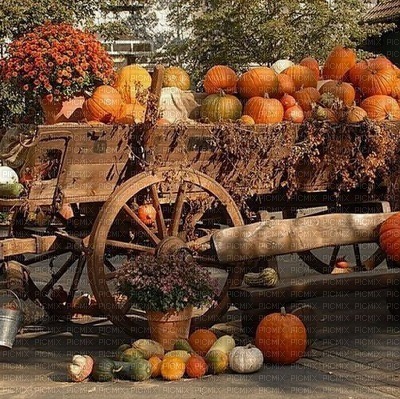 Herbst automne autumn - PNG gratuit