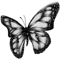 patymirabelle papillon - nemokama png