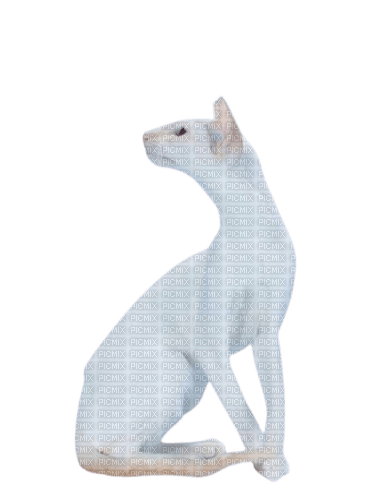weirdo cat real - 免费PNG