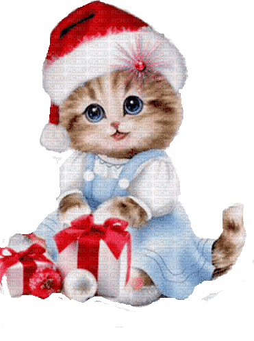 Christmas animated cat - Bezmaksas animēts GIF