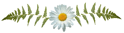 barre fleur - Nemokamas animacinis gif