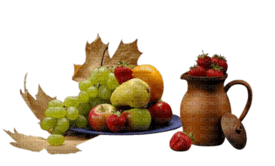 fruits - kostenlos png