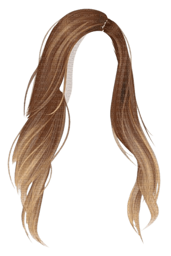 cheveux chatain blond long - png gratis