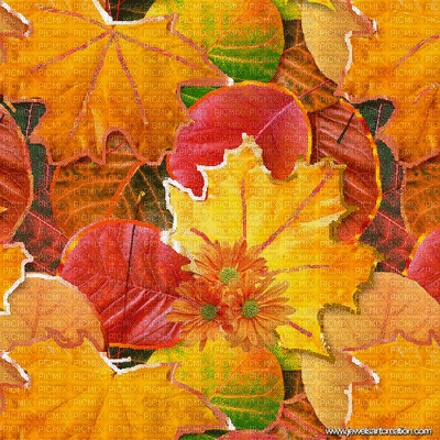Fall Background - Gratis animeret GIF
