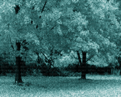 Kaz_Creations Deco  Trees Backgrounds Background Colours - Бесплатный анимированный гифка