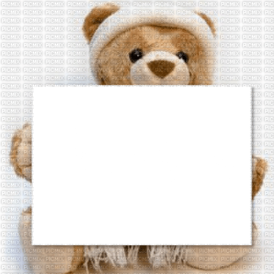 claudia680:teddy frame - gratis png
