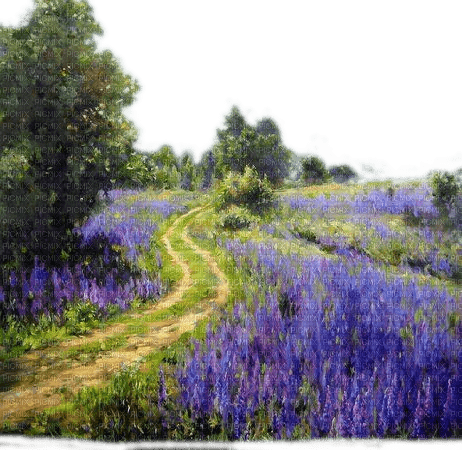 Lavendelfeld, Landschaft, Landscape - darmowe png
