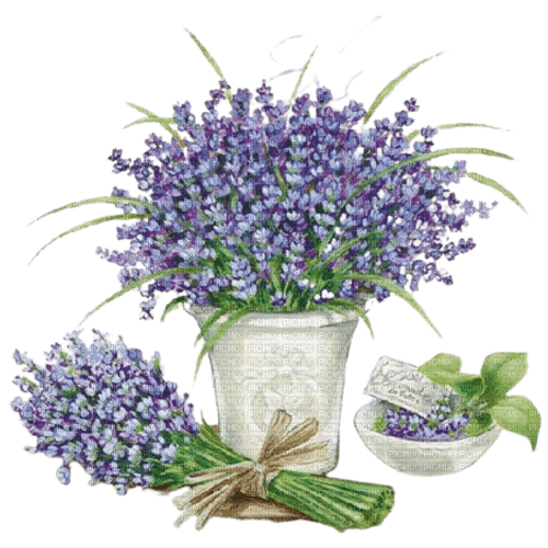 lavender Bb2 - ücretsiz png