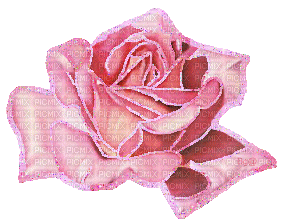 d-rose - Δωρεάν κινούμενο GIF