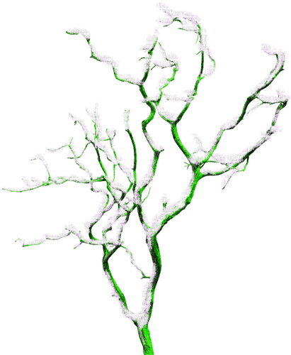 Winter.Tree.Green.White - PNG gratuit