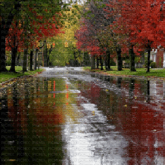 autumn rain animated bg automne pluie fond - Kostenlose animierte GIFs