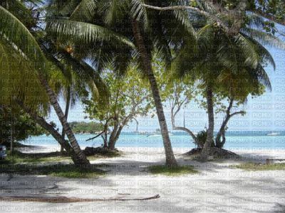 plage - PNG gratuit