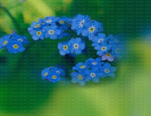 bg-grön med blommor--background-flowers - zadarmo png