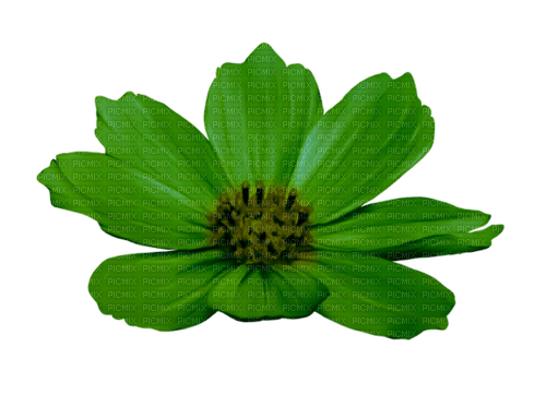 Flor verde - kostenlos png