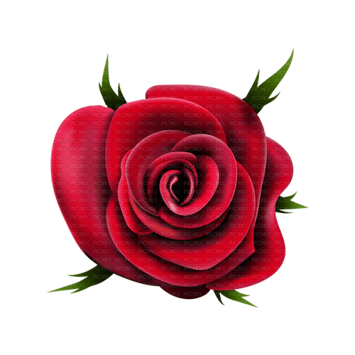 kikkapink deco scrap red rose flower - PNG gratuit