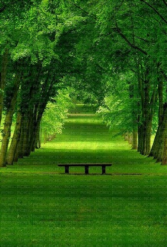 green nature - bezmaksas png