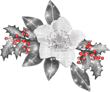 soave deco branch flowers branch holly white - Free PNG