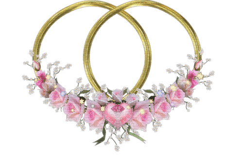 rings ringe anneaux wedding jewel - безплатен png
